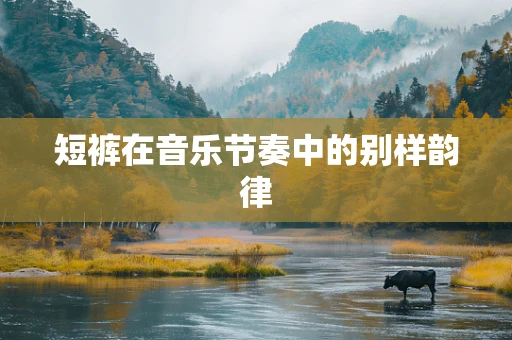 短裤在音乐节奏中的别样韵律