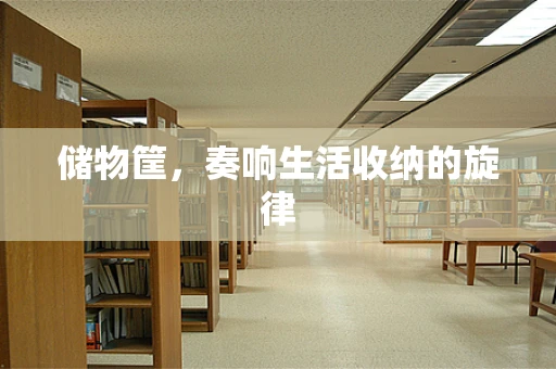 储物筐，奏响生活收纳的旋律