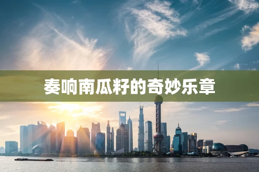奏响南瓜籽的奇妙乐章