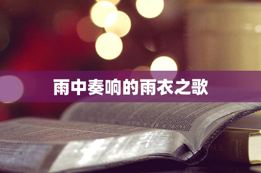 雨中奏响的雨衣之歌