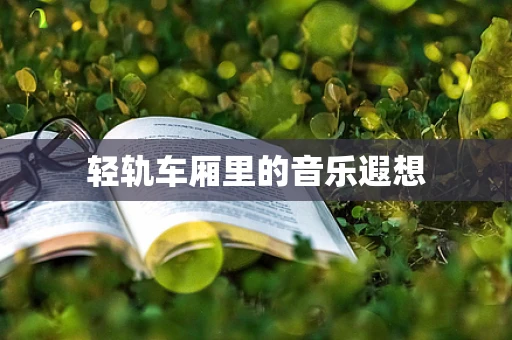 轻轨车厢里的音乐遐想