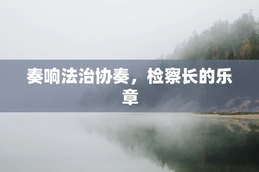 奏响法治协奏，检察长的乐章