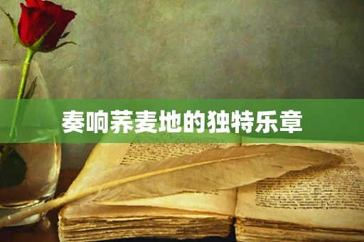奏响荞麦地的独特乐章