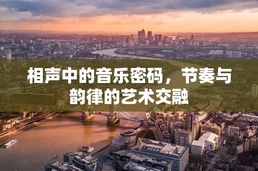 相声中的音乐密码，节奏与韵律的艺术交融