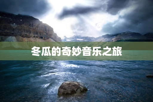 冬瓜的奇妙音乐之旅