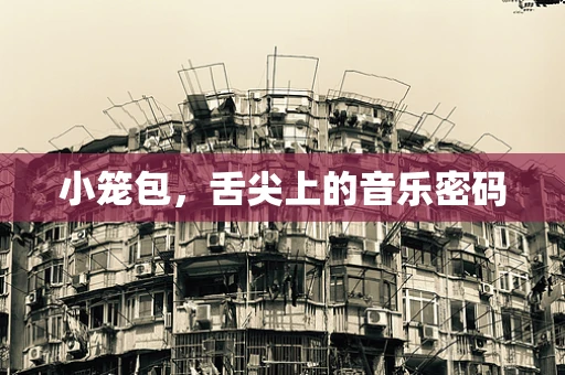 小笼包，舌尖上的音乐密码