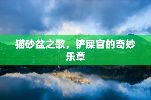 猫砂盆之歌，铲屎官的奇妙乐章