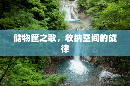 储物筐之歌，收纳空间的旋律
