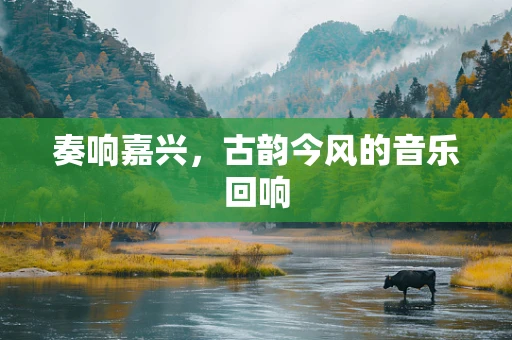 奏响嘉兴，古韵今风的音乐回响
