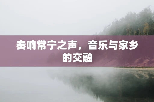 奏响常宁之声，音乐与家乡的交融
