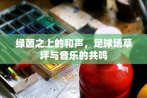 绿茵之上的和声，足球场草坪与音乐的共鸣