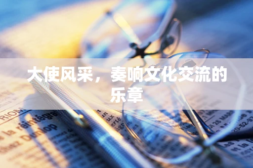 大使风采，奏响文化交流的乐章