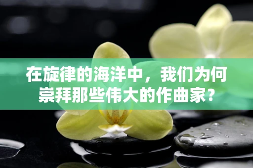 在旋律的海洋中，我们为何崇拜那些伟大的作曲家？