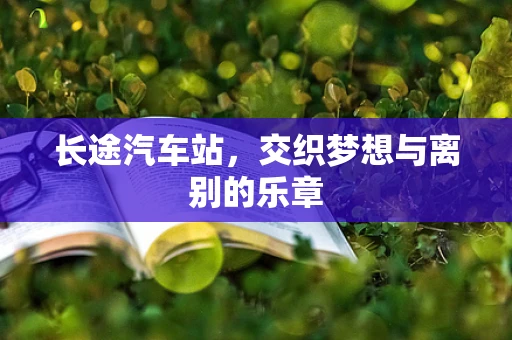 长途汽车站，交织梦想与离别的乐章