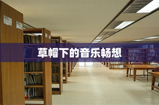 草帽下的音乐畅想