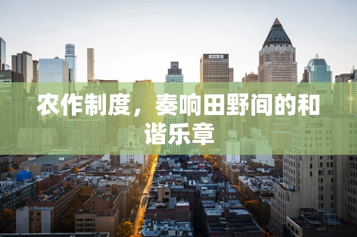 农作制度，奏响田野间的和谐乐章