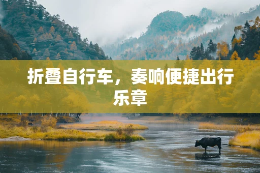 折叠自行车，奏响便捷出行乐章