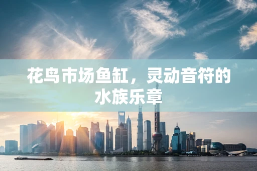 花鸟市场鱼缸，灵动音符的水族乐章