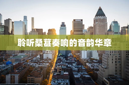 聆听桑葚奏响的音韵华章