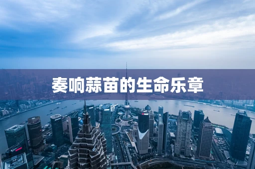 奏响蒜苗的生命乐章