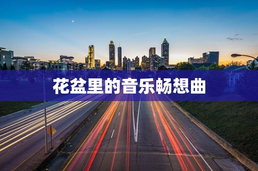 花盆里的音乐畅想曲