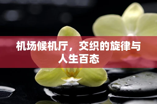 机场候机厅，交织的旋律与人生百态