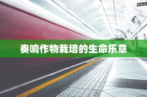 奏响作物栽培的生命乐章