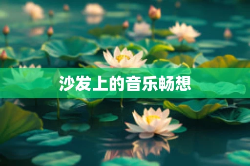 沙发上的音乐畅想