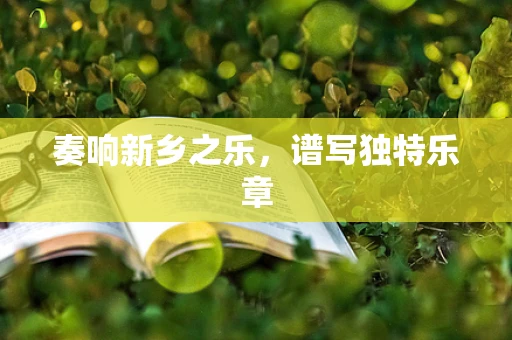 奏响新乡之乐，谱写独特乐章