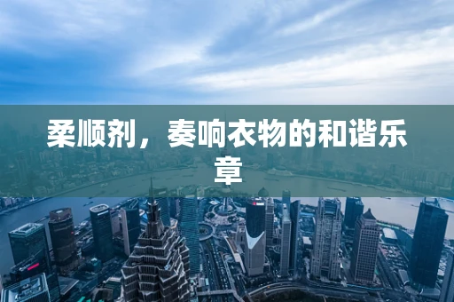 柔顺剂，奏响衣物的和谐乐章