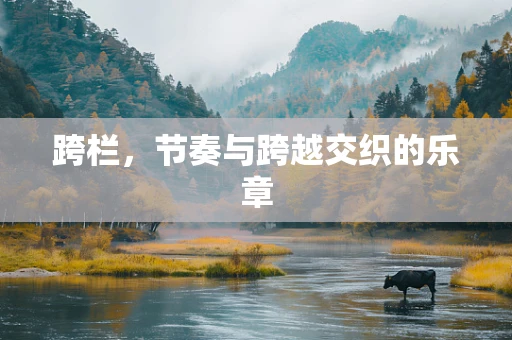 跨栏，节奏与跨越交织的乐章