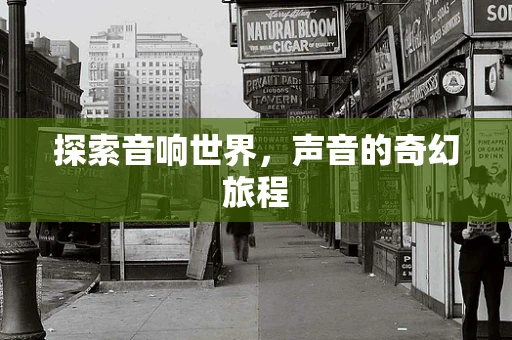 探索音响世界，声音的奇幻旅程