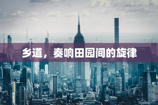 乡道，奏响田园间的旋律