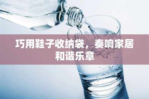 巧用鞋子收纳袋，奏响家居和谐乐章