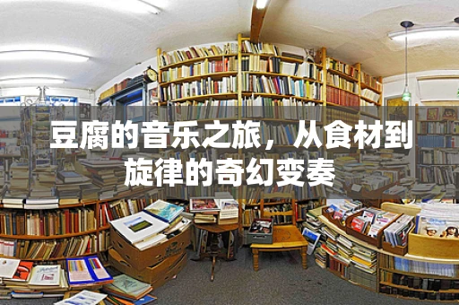 豆腐的音乐之旅，从食材到旋律的奇幻变奏
