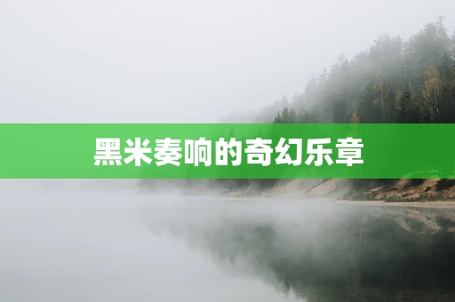 黑米奏响的奇幻乐章