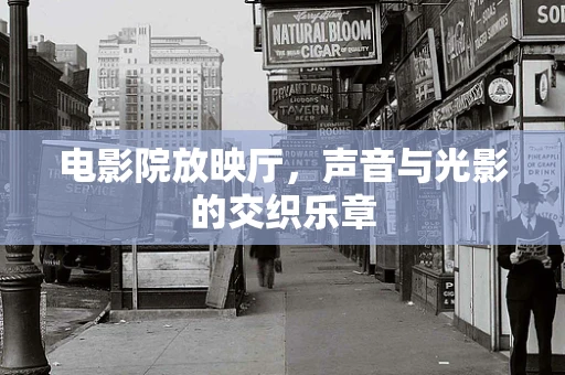 电影院放映厅，声音与光影的交织乐章