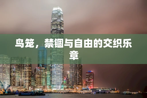 鸟笼，禁锢与自由的交织乐章