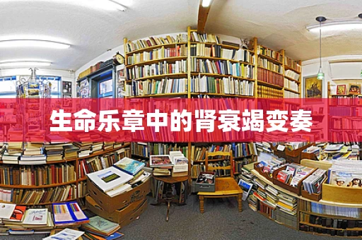 生命乐章中的肾衰竭变奏