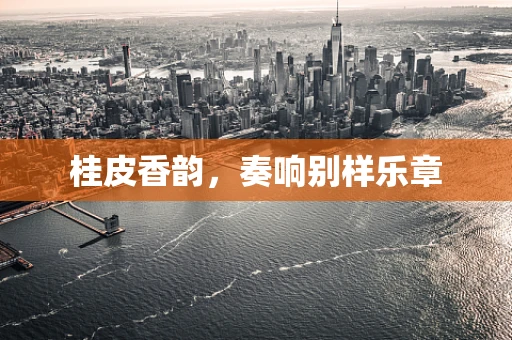 桂皮香韵，奏响别样乐章
