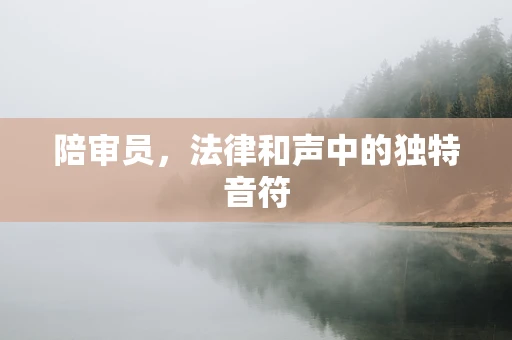 陪审员，法律和声中的独特音符