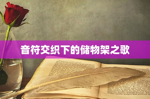 音符交织下的储物架之歌