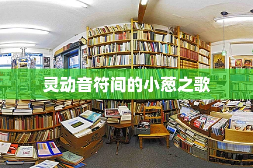 灵动音符间的小葱之歌