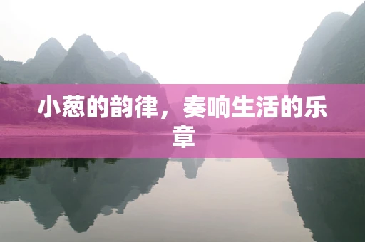 小葱的韵律，奏响生活的乐章