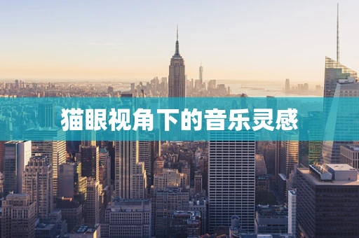 猫眼视角下的音乐灵感