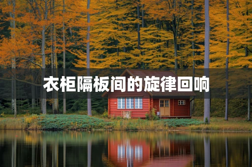 衣柜隔板间的旋律回响