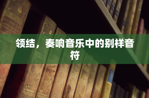 领结，奏响音乐中的别样音符