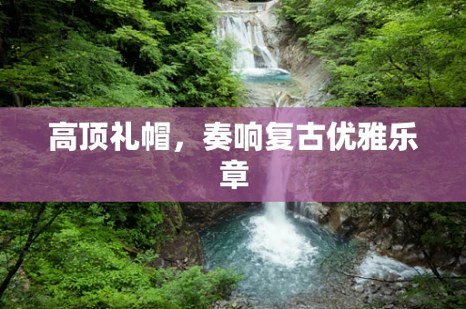 高顶礼帽，奏响复古优雅乐章