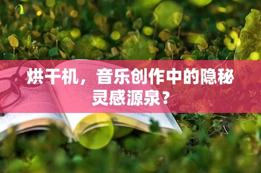 烘干机，音乐创作中的隐秘灵感源泉？