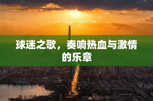 球迷之歌，奏响热血与激情的乐章